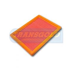 Transgold Air Filter