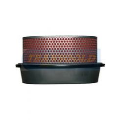 Transgold Air Filter