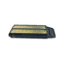 Transgold Air Filter