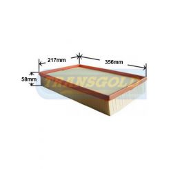 Transgold Air Filter