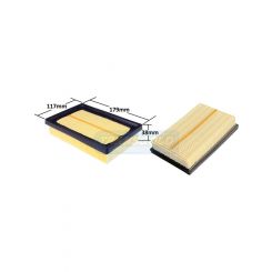 Transgold Air Filter