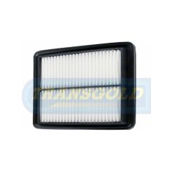Transgold Air Filter