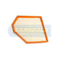 Transgold Air Filter