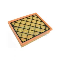 Transgold Air Filter