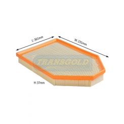 Transgold Air Filter