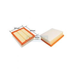 Transgold Air Filter