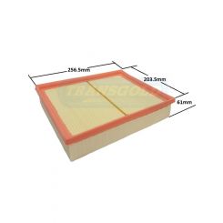 Transgold Air Filter