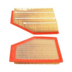 Transgold Air Filter