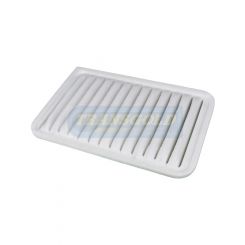 Transgold Air Filter
