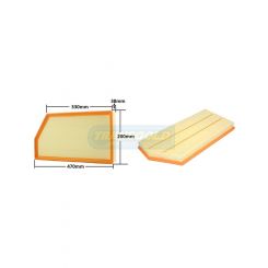 Transgold Air Filter