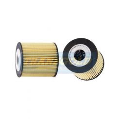 Transgold Fuel Filter Cartridge