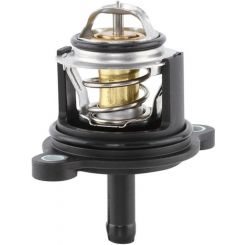 Tridon Thermostat
