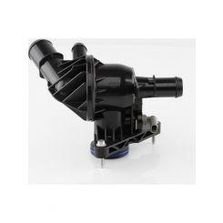 Tridon Thermostat