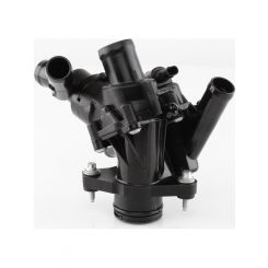 Tridon Thermostat