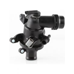 Tridon Thermostat