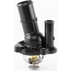 Tridon Thermostat
