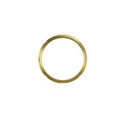 Turbosmart GenV WG45/50 Actuator/ProPort Locking Collar Gold