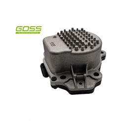 Goss Auxiliary Water Pump