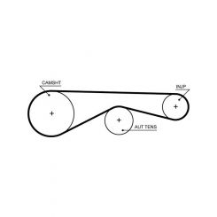 Gates Powergrip Timing Belt