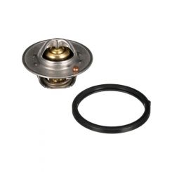 Gates Thermostat