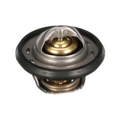 Gates Thermostat