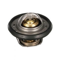 Gates Thermostat