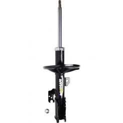 Roadsafe STR Sealed Strut