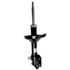 Roadsafe STR Sealed Strut