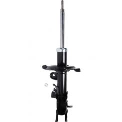Roadsafe STR Sealed Strut
