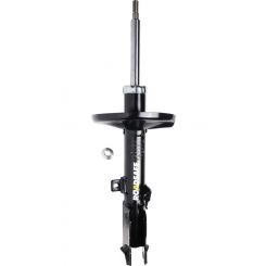Roadsafe STR Sealed Strut