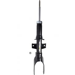 Roadsafe STR Sealed Strut