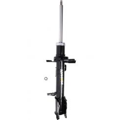 Roadsafe STR Sealed Strut