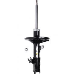 Roadsafe STR Sealed Strut