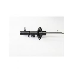 Roadsafe STR Sealed Strut