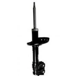 Roadsafe STR Sealed Strut
