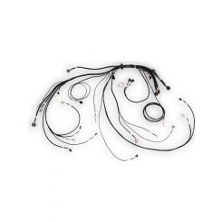 Haltech Nexus Rebel LS Terminated Harness for Nexus Rebel LS ECU