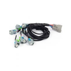 Haltech Nexus Rebel LS EV6 Injector Sub-Harness
