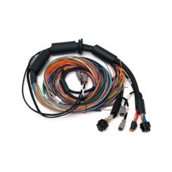 Haltech Nexus R3 Universal Wire-in Harness 2.5M