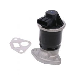 Icon EGR Valve