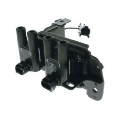 Icon Ignition Coil