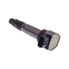 Icon Ignition Coil