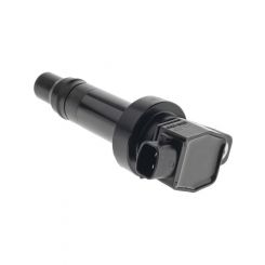 Icon Ignition Coil