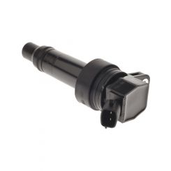 Icon Ignition Coil