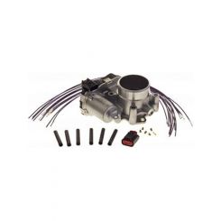 Icon Throttle Body