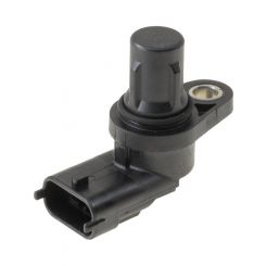 PAT Cam Angle Sensor