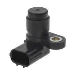 PAT Cam Angle Sensor