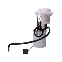 PAT Electronic Fuel Pump Assembly
