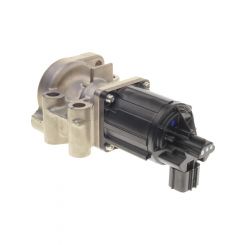 PAT Exhaust Gas Recirculation Valve