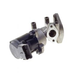 PAT Exhaust Gas Recirculation Valve