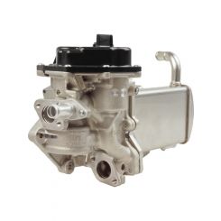 PAT Exhaust Gas Recirculation Valve
